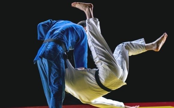 online Taekwondo coaching