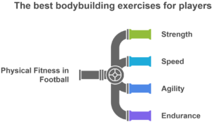 The best fitness exercises