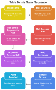 All about table tennis 